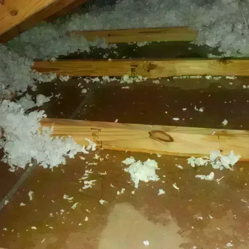 Attic Water Damage in Terramuggus, CT